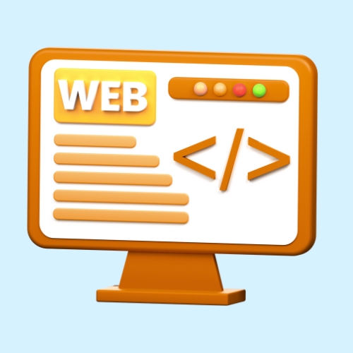 custom development